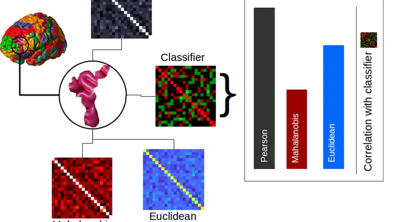 Measures of Neural Similarity